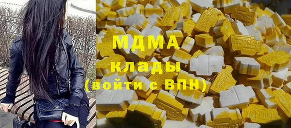 индика Аркадак
