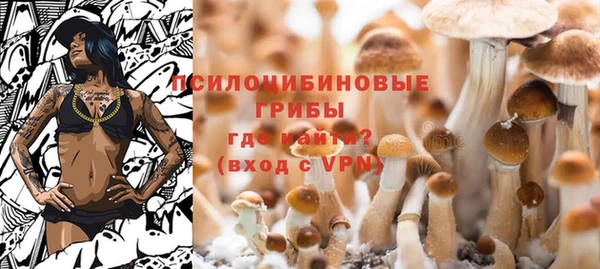 твердый Армянск