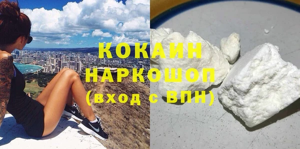 индика Аркадак