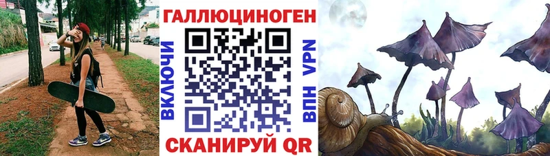 блэк спрут ссылки  Междуреченск  Псилоцибиновые грибы ЛСД 