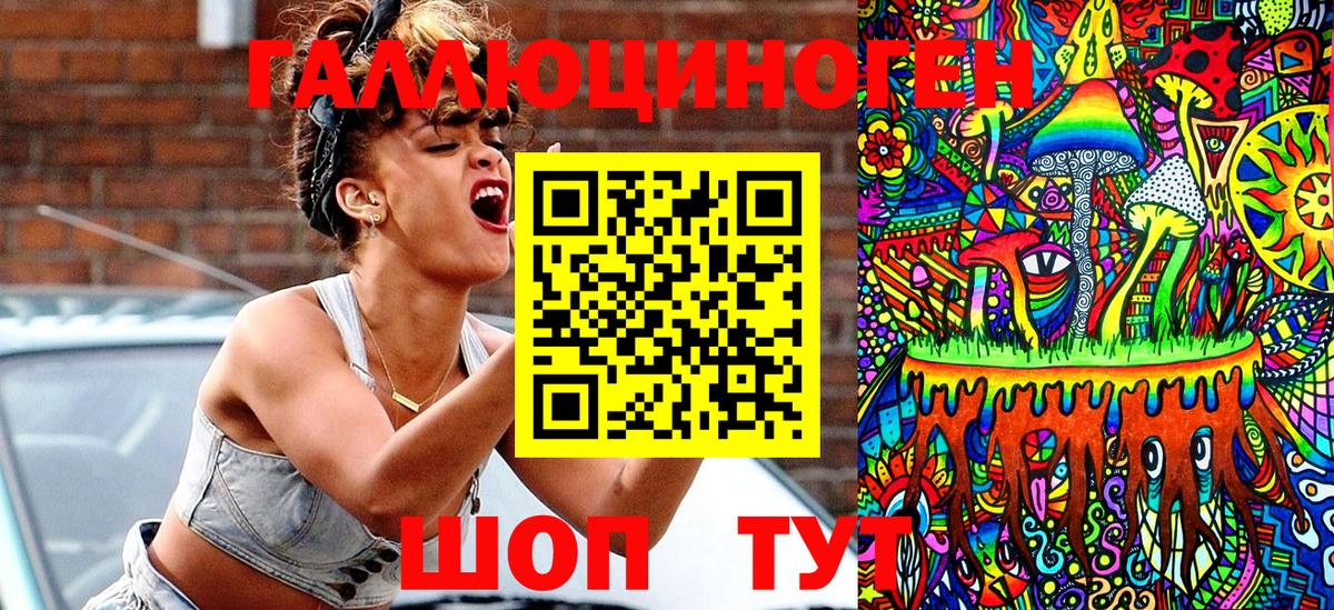 Междуреченск  Псилоцибиновые грибы Psilocybe  Вход с VPN 